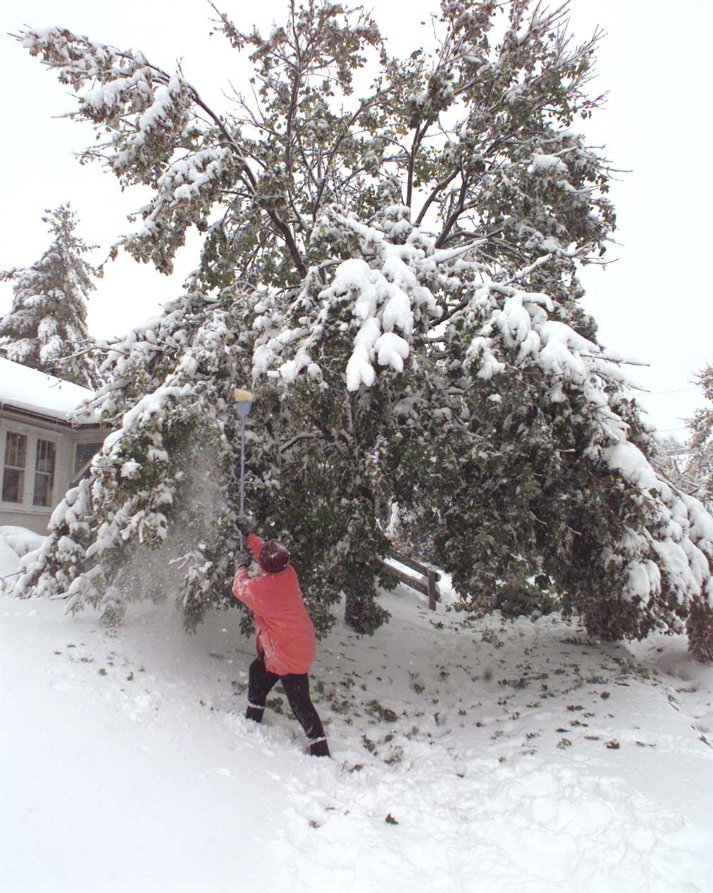 October Snow